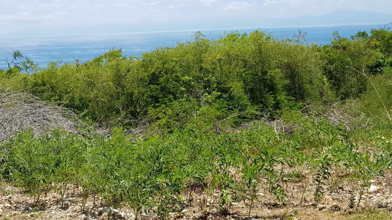 Вилла Planete Bleue Habitation Mes Desirs Beaurenom Экстерьер фото